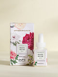 Peony Blush - Bring Beautiful Scent Home