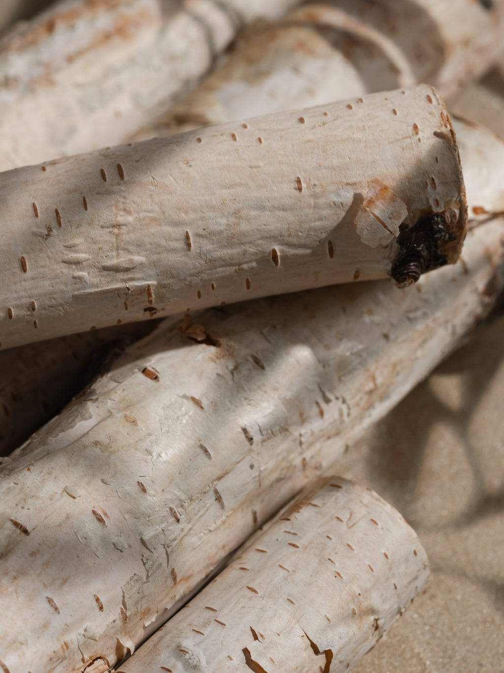 Woodland Spruce - Smart Scents for Busy Homes