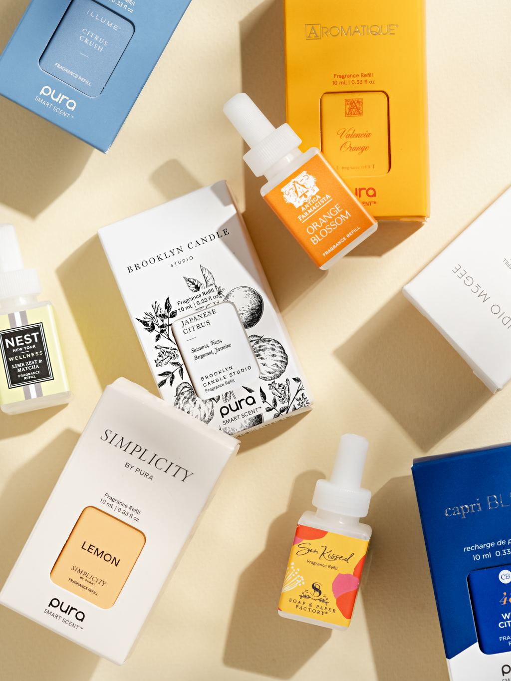 Citrus - Bring Beautiful Scent Home