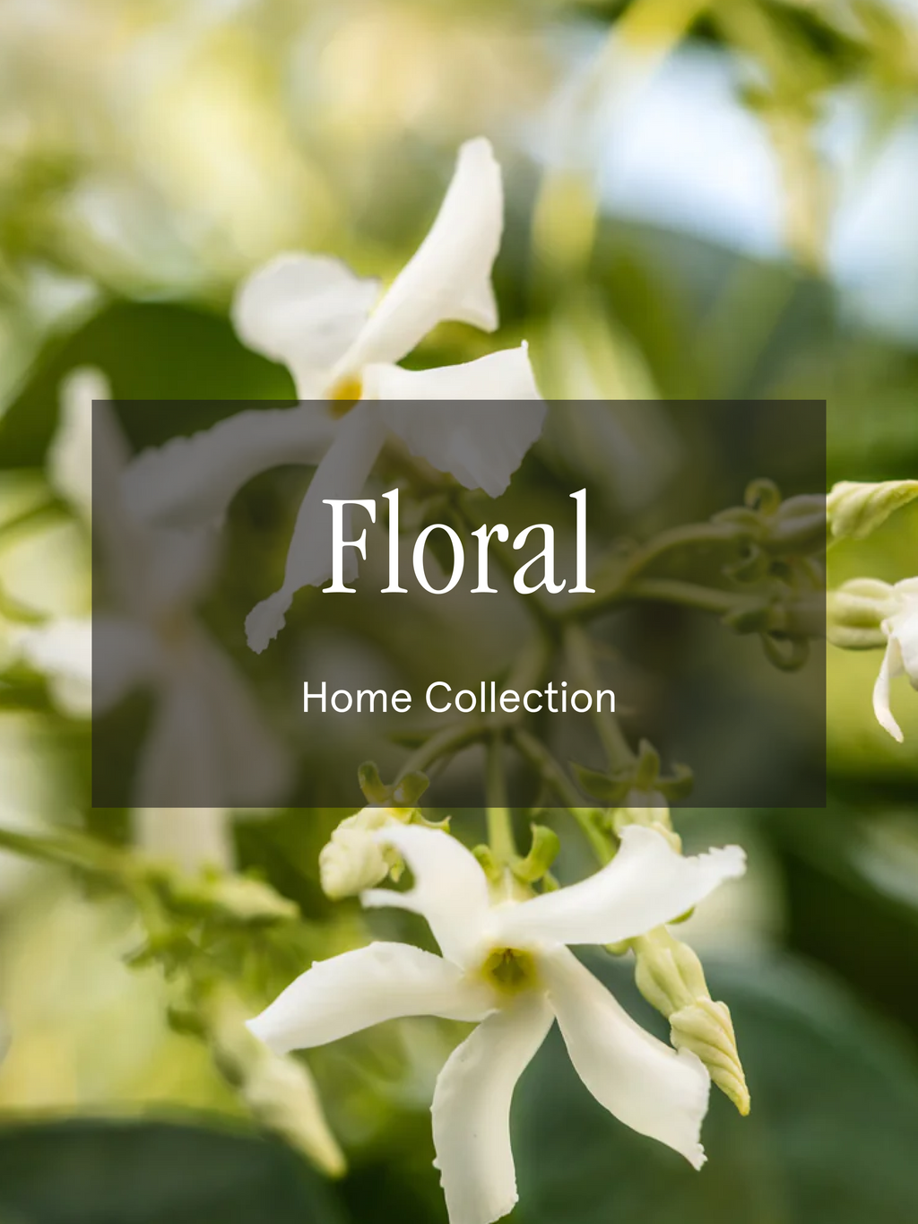 Floral - Make Home Feel Fresh Again