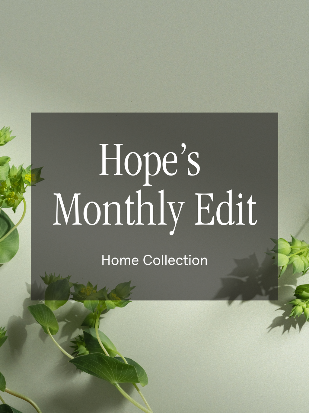 Hope's Monthly Edit - Relax Into Better Fragrance
