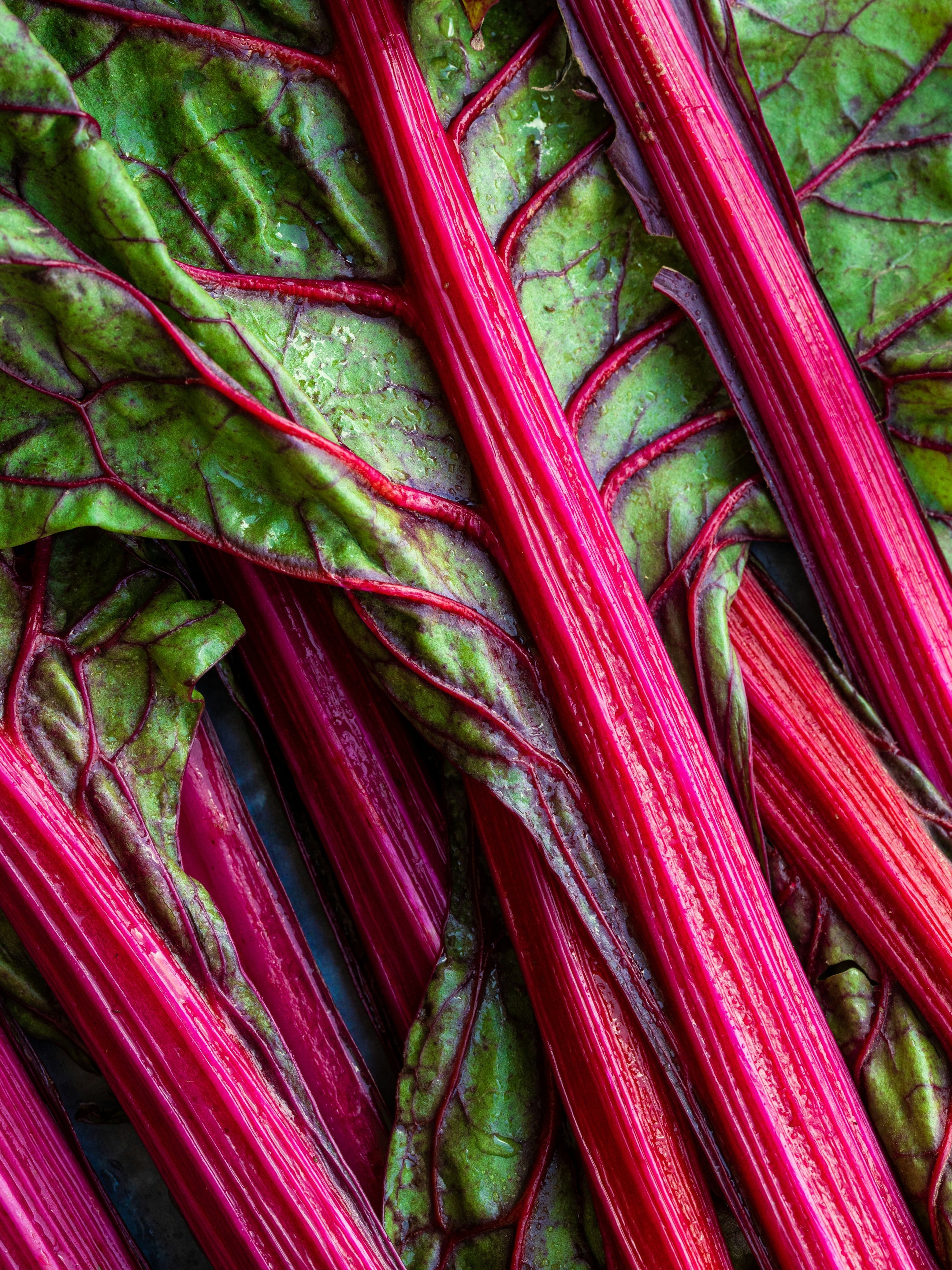 Rhubarb Honey - Scented Comfort for Every Space