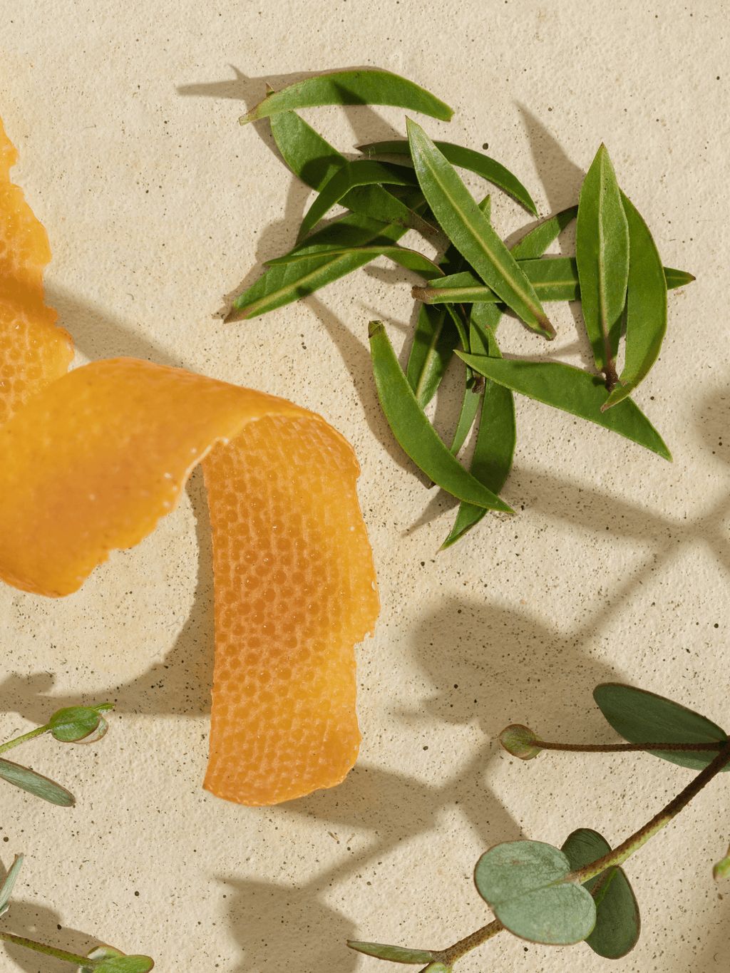 White Tea Blossom - Set the Mood With Scent