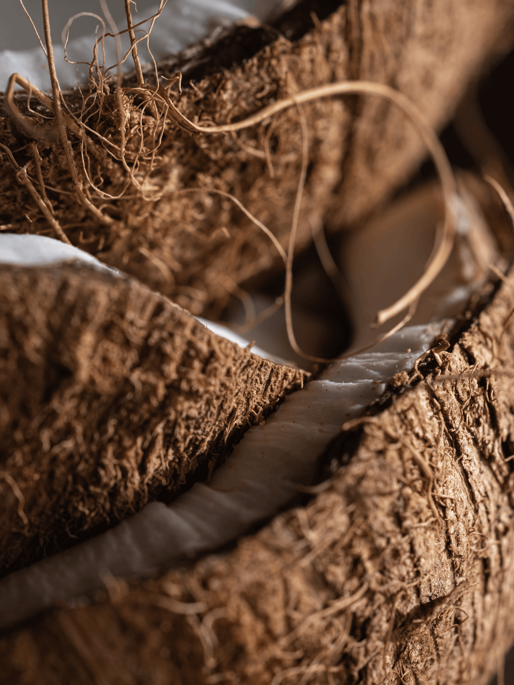 Coconut Oasis - Create a Home That Smells Good