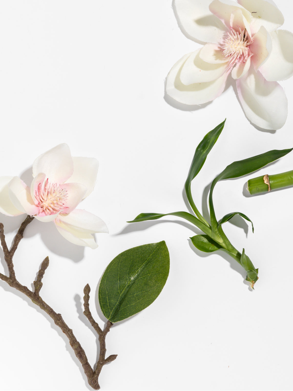 Star Magnolia - Bring Scent Into Every Corner