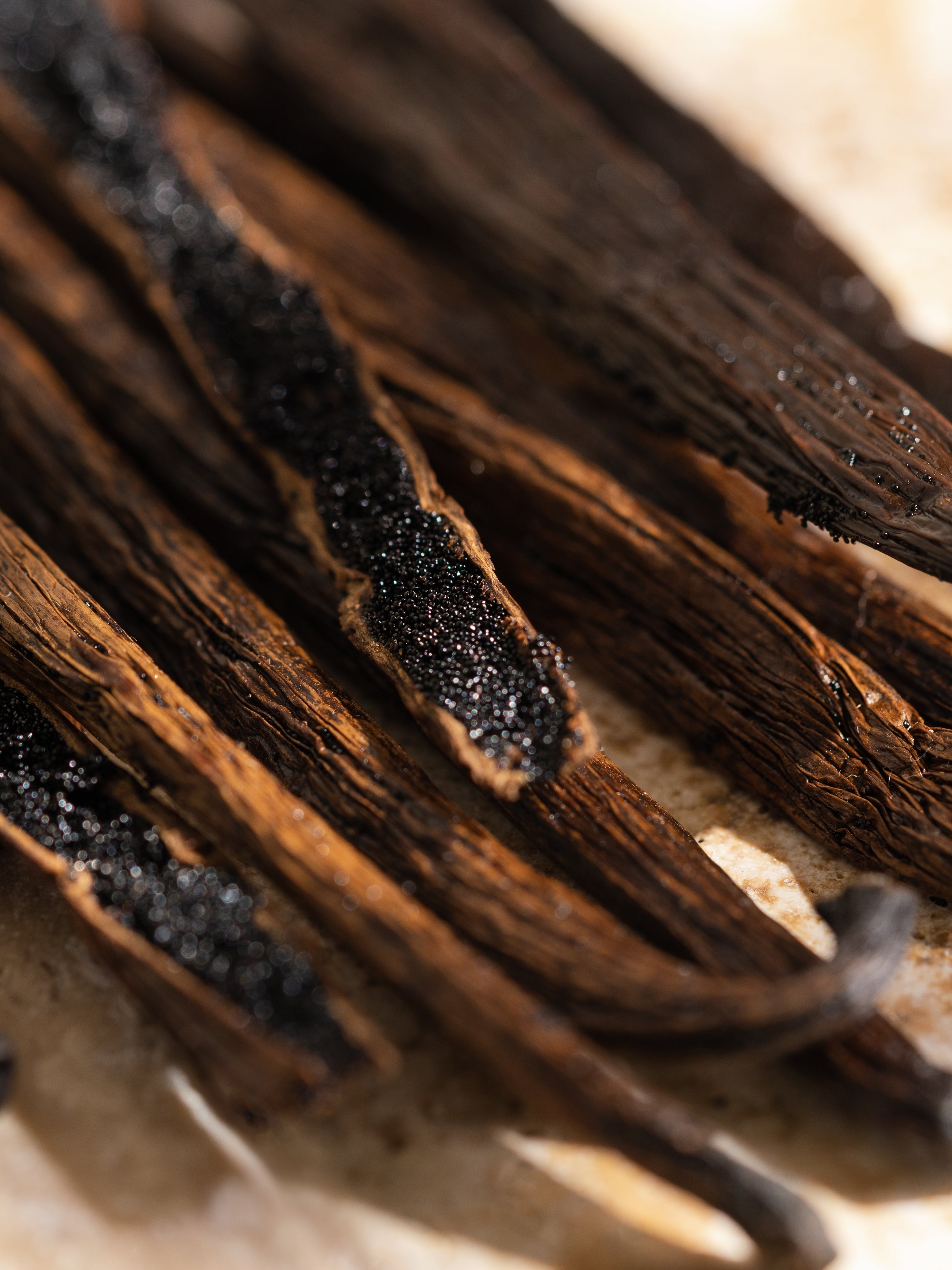 Havana Vanilla - Control Your Home Fragrance