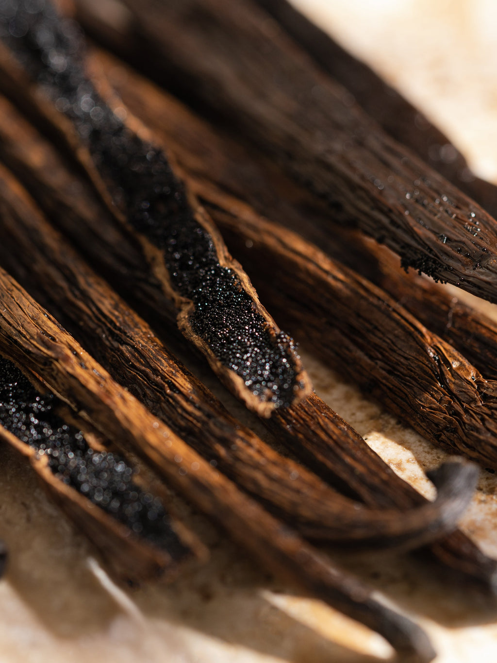 Havana Vanilla - Make Your Home More Comfortable