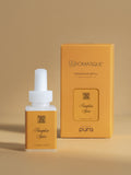 Pumpkin Spice - Drive With a Fresh Scent