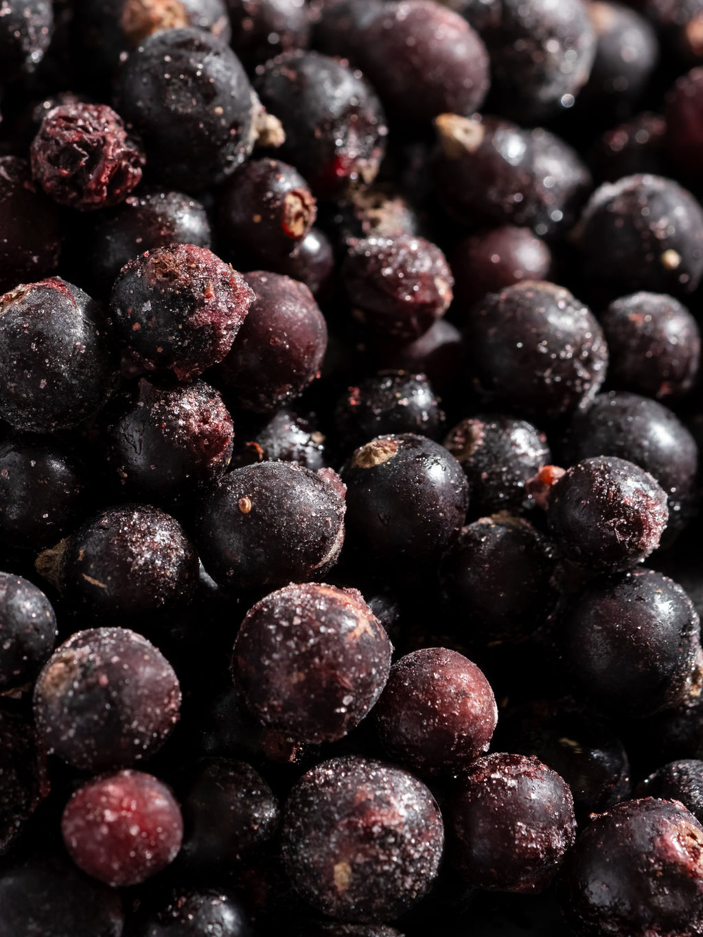 Sparkling Currant - Your Daily Home Refresh
