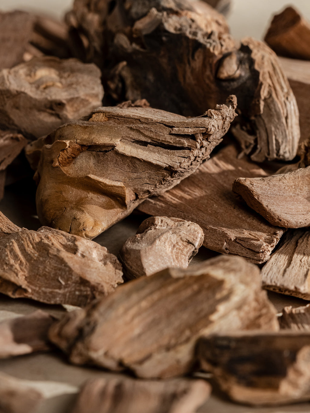 Chestnut Embers - Make Your Home Feel Brighter