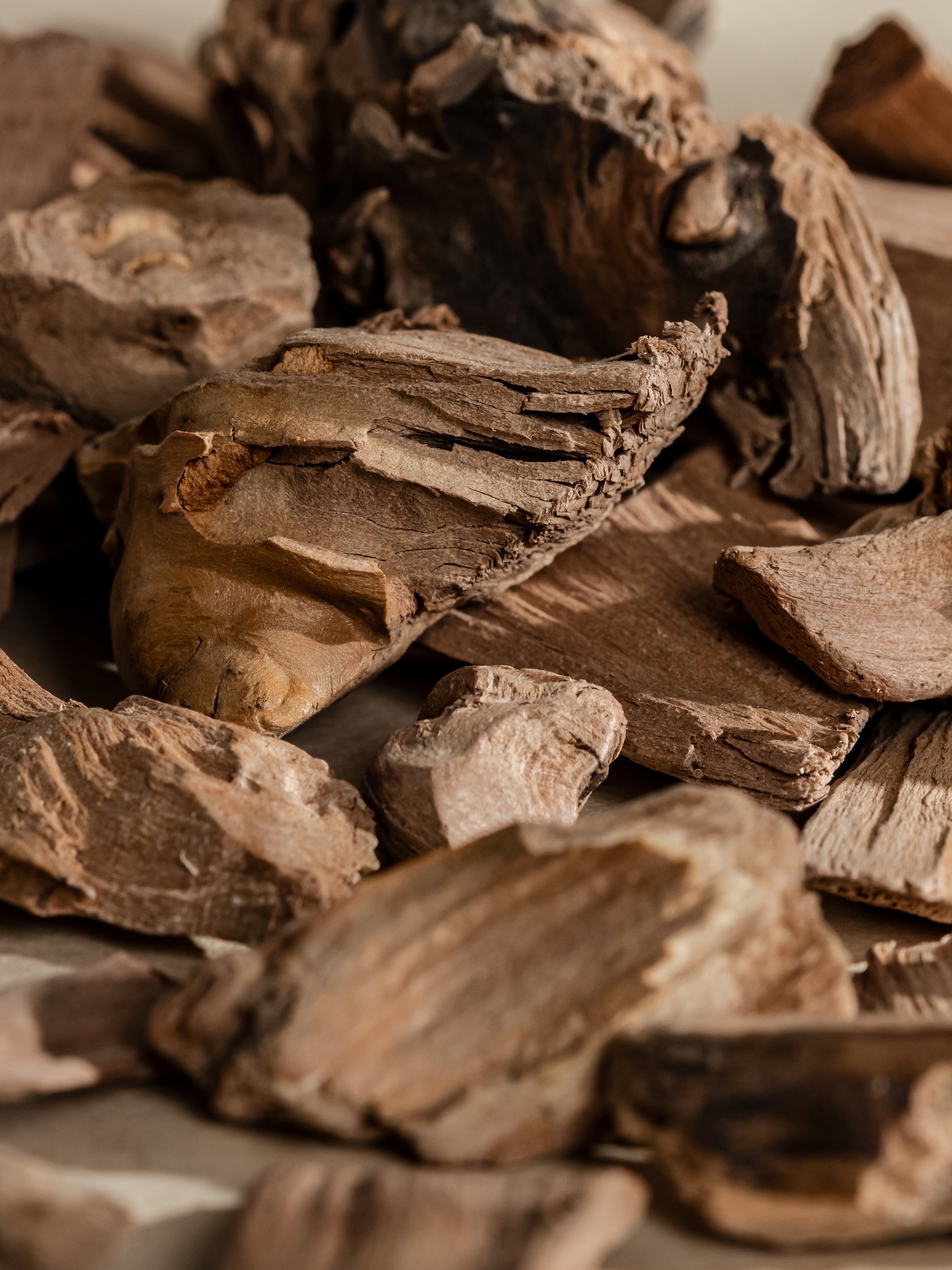 Chestnut Embers - Make Your Home Feel Brighter