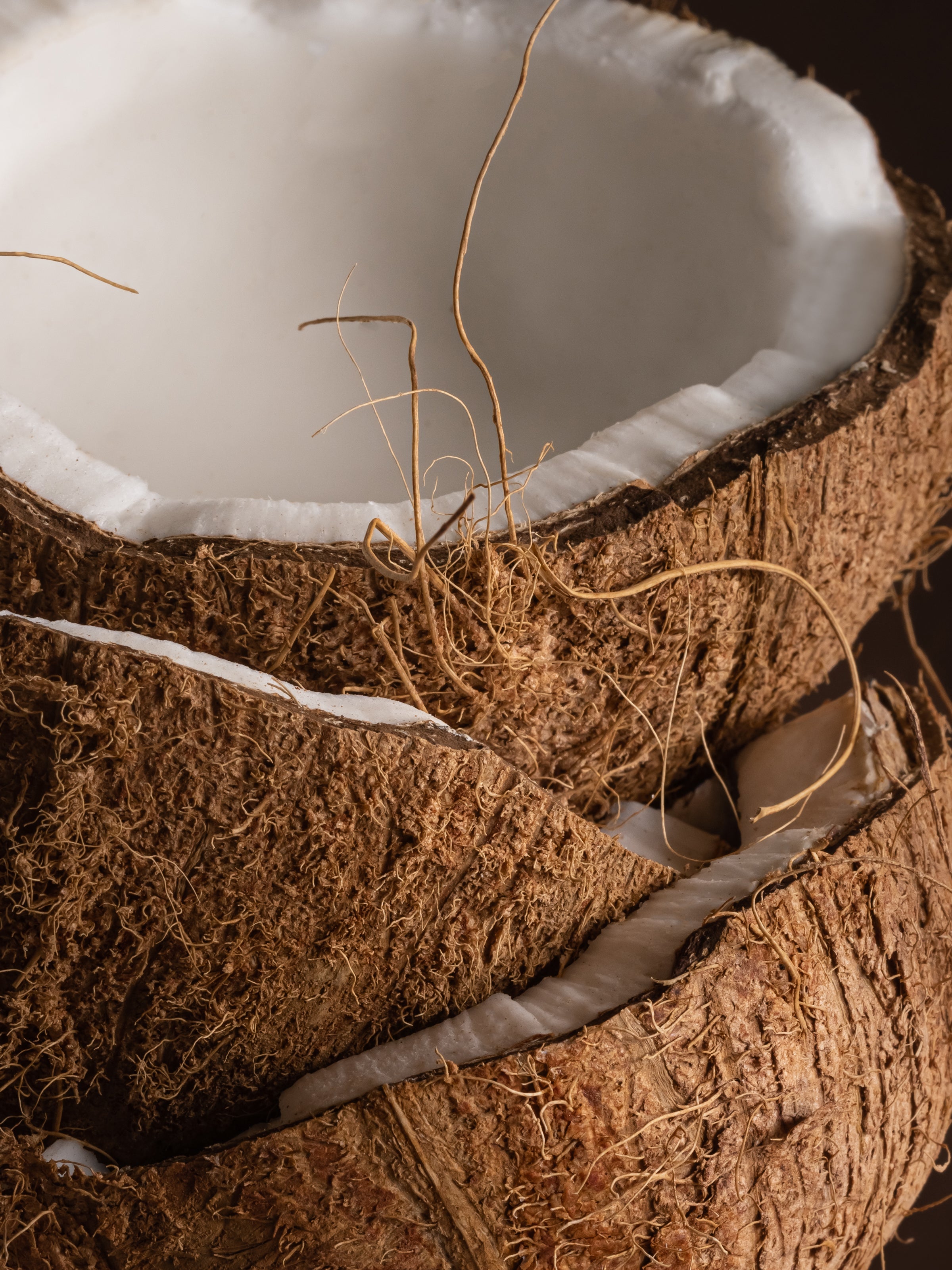 Coconut - Fresh Scent for Busy Days
