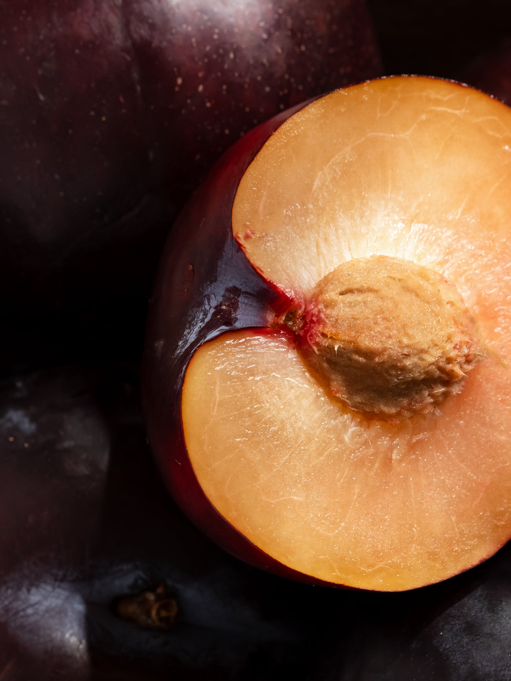 Autumn Plum - Fresh Vibes for Every Room