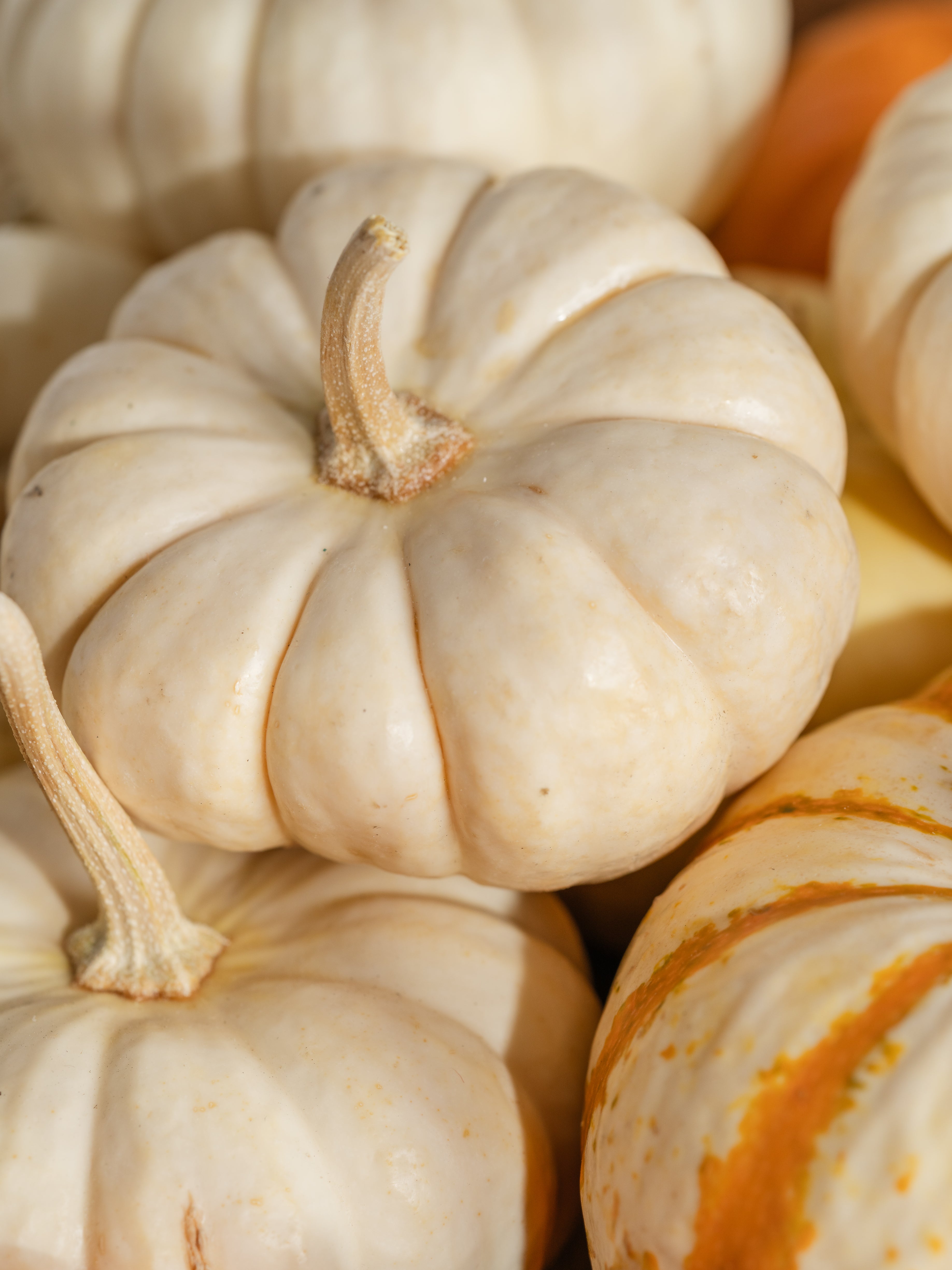 Pumpkin Macchiato - Make Your Home Feel Brighter