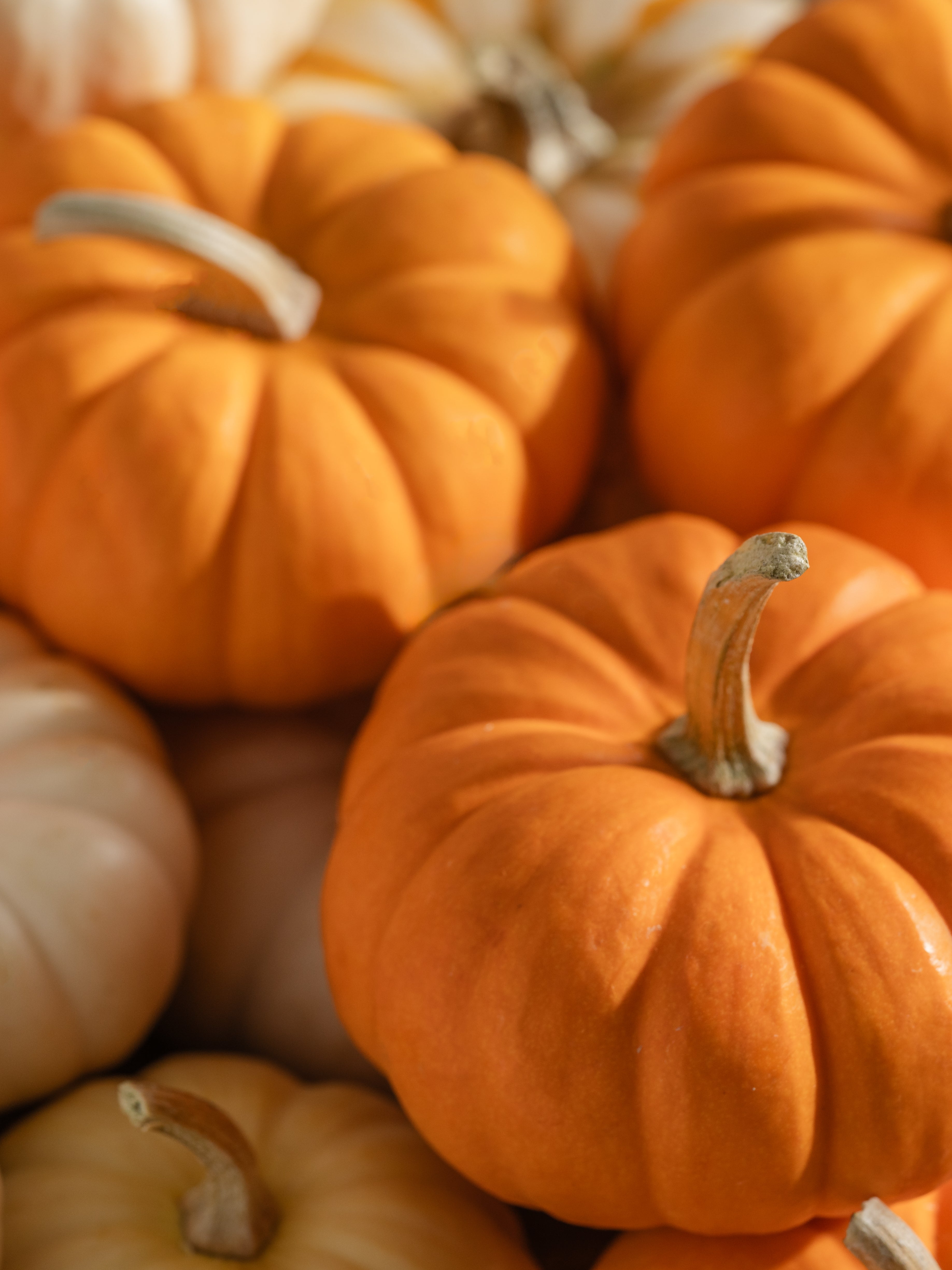 Pumpkin Picking - Everyday Scent Made Simple