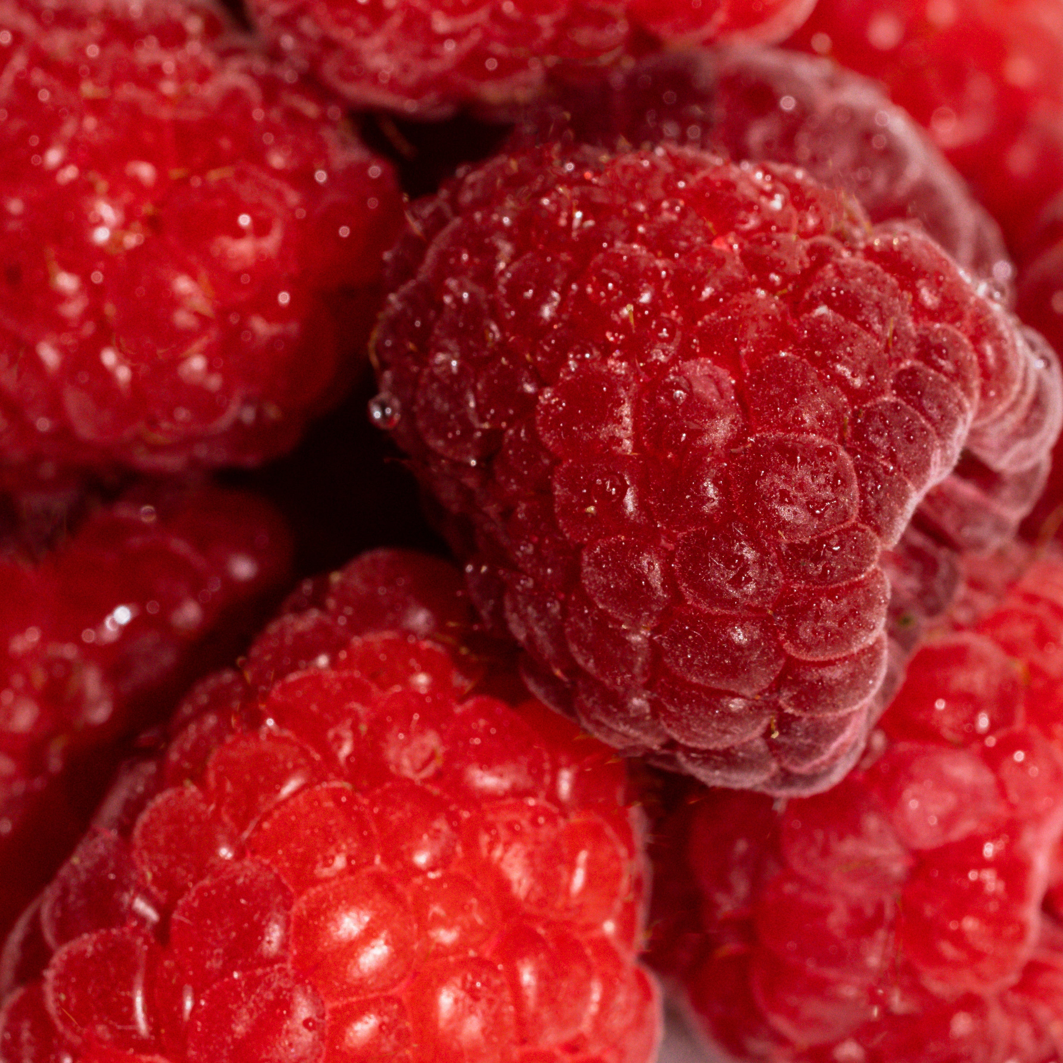 Vanilla Berry - Better Scent for Better Days