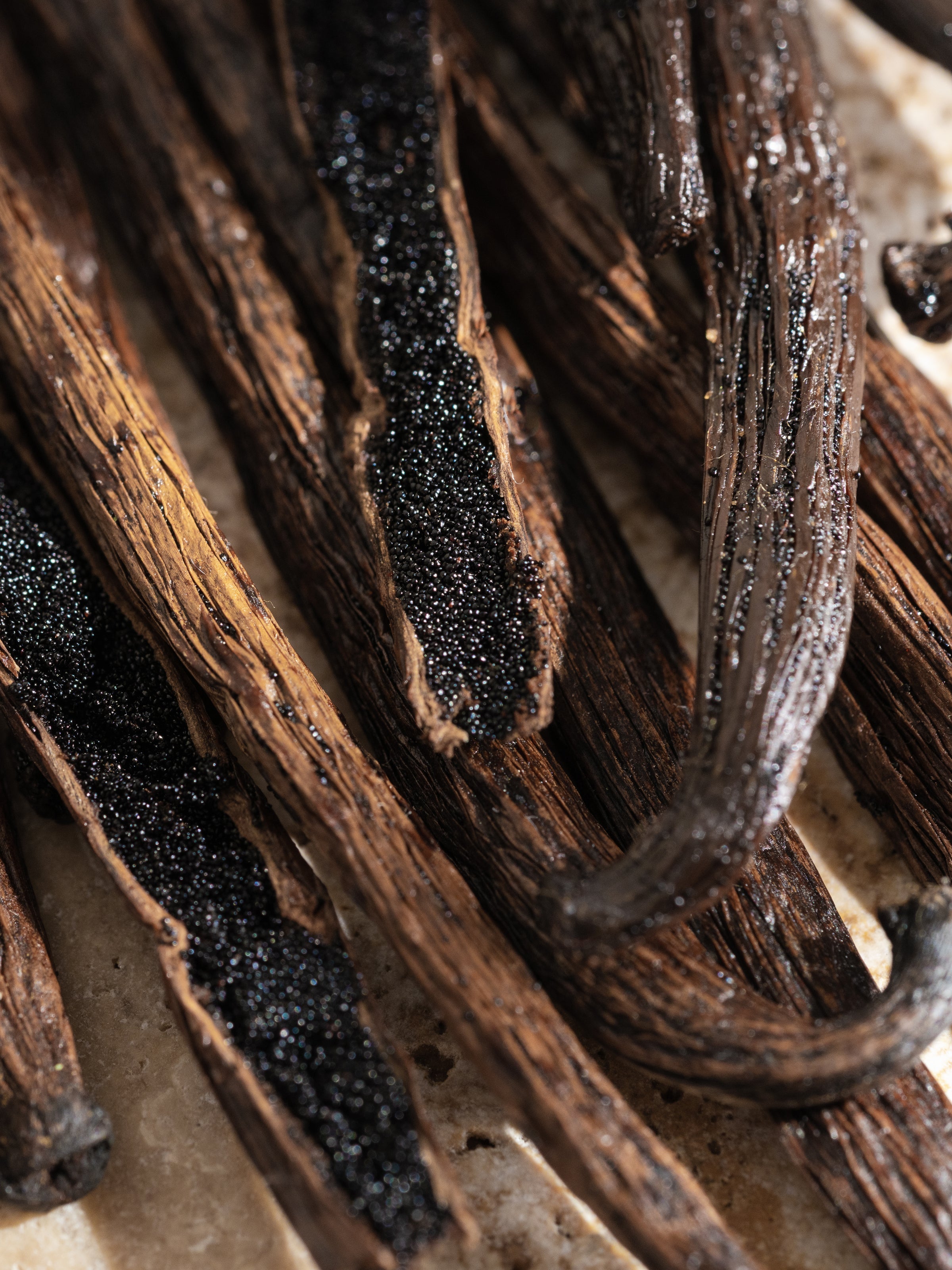 Cardamom Vanilla - Refresh Your Home Mood