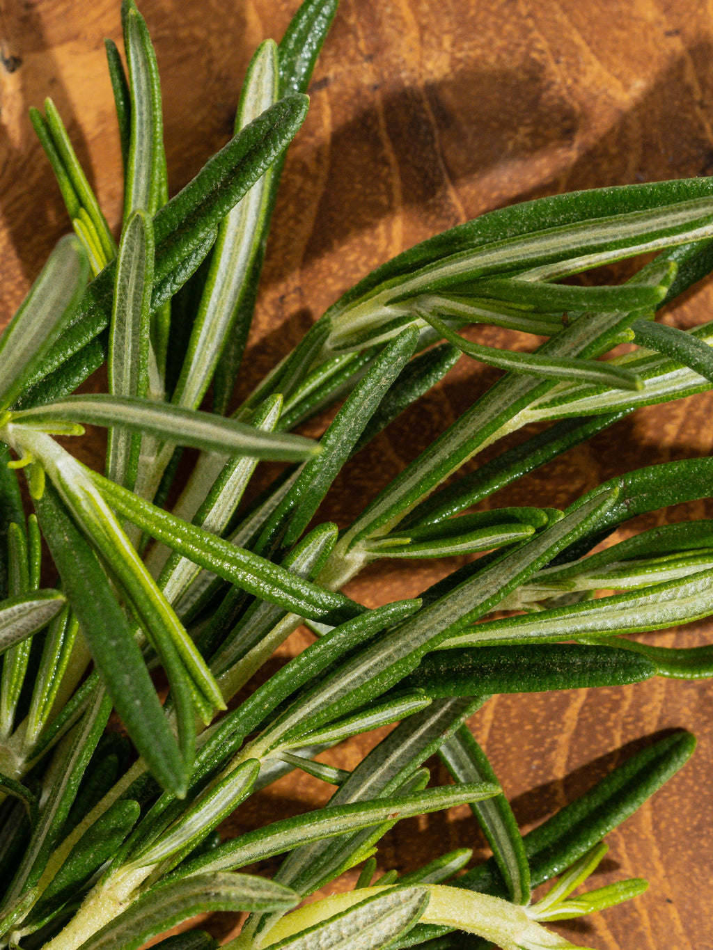 Rosemary Eucalyptus - Add Freshness to the Moment