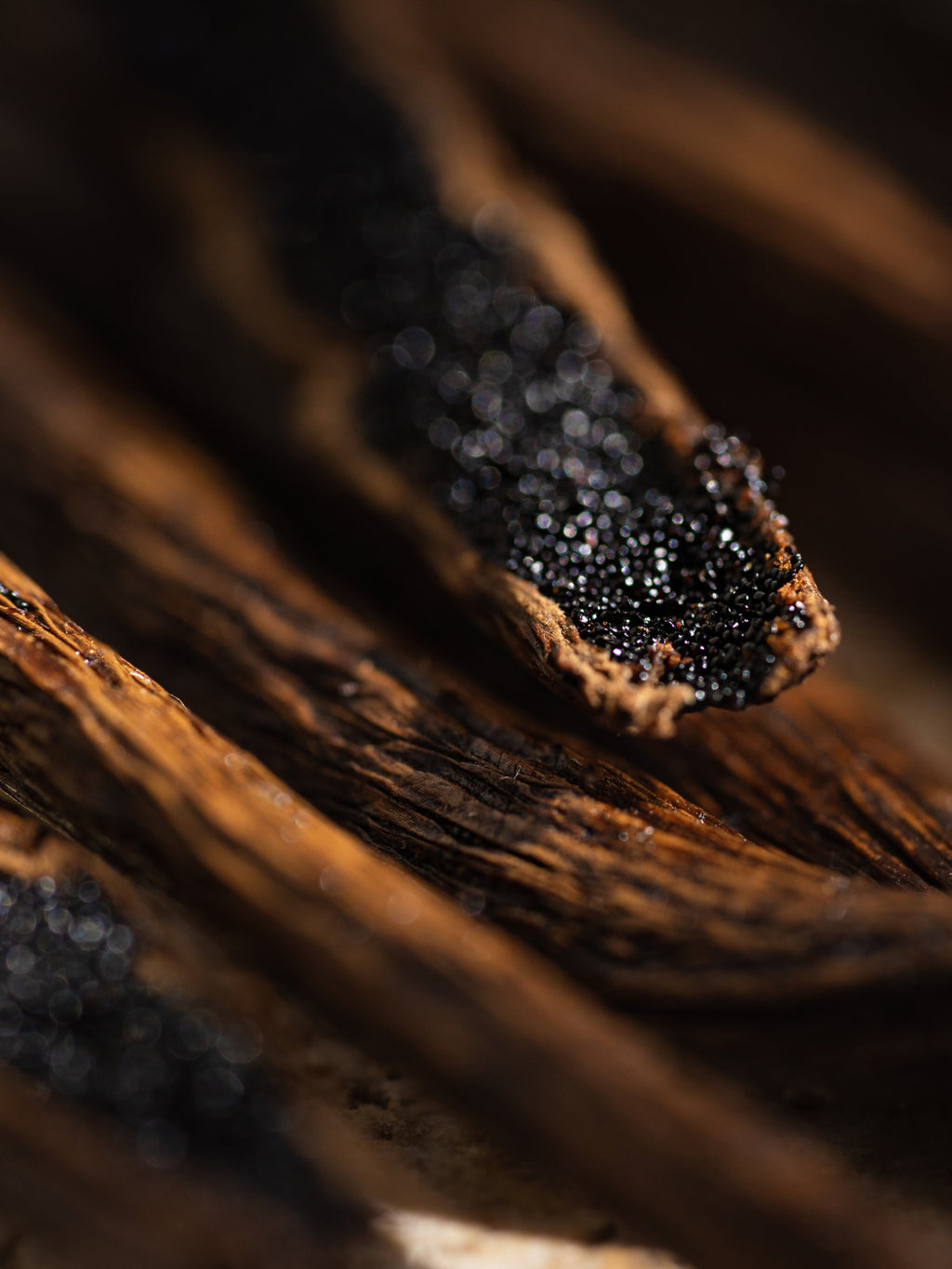 White Maple Bourbon - Home Fragrance at Your Fingertips