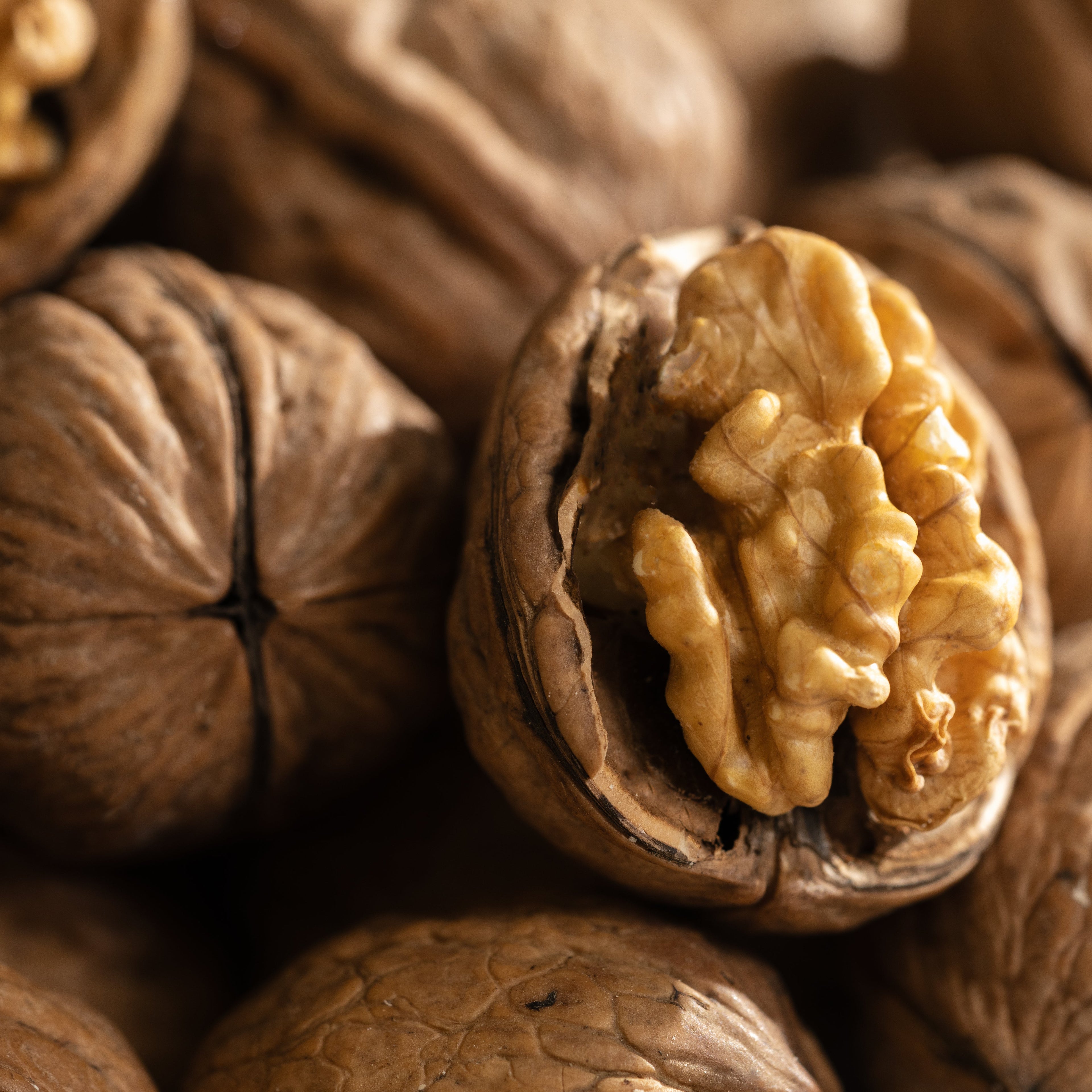 Pumpkin Spice & Black Walnut - Better Scent Starts at Home