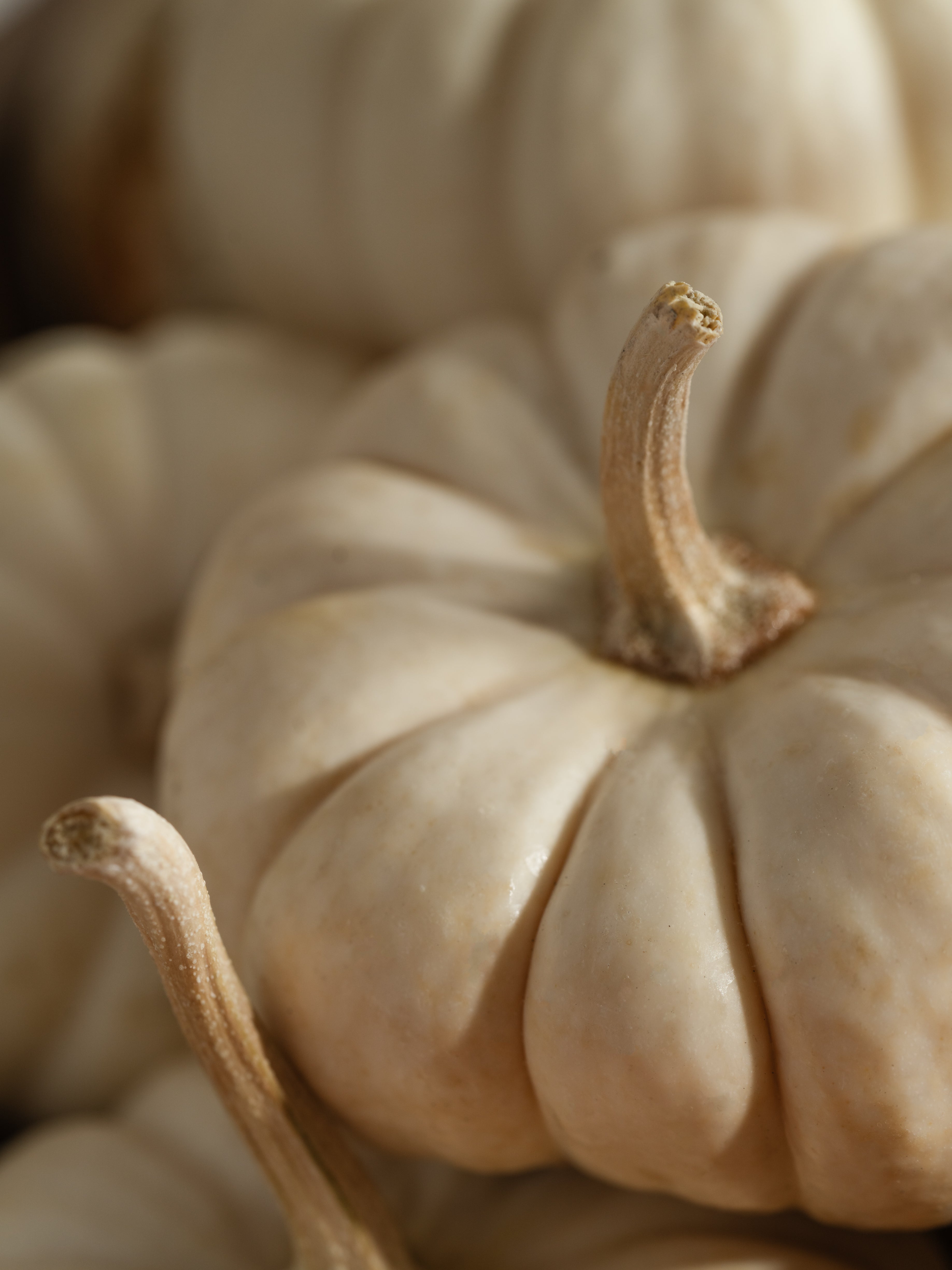 White Birch & Pumpkin - Your Car Deserves Better Scent